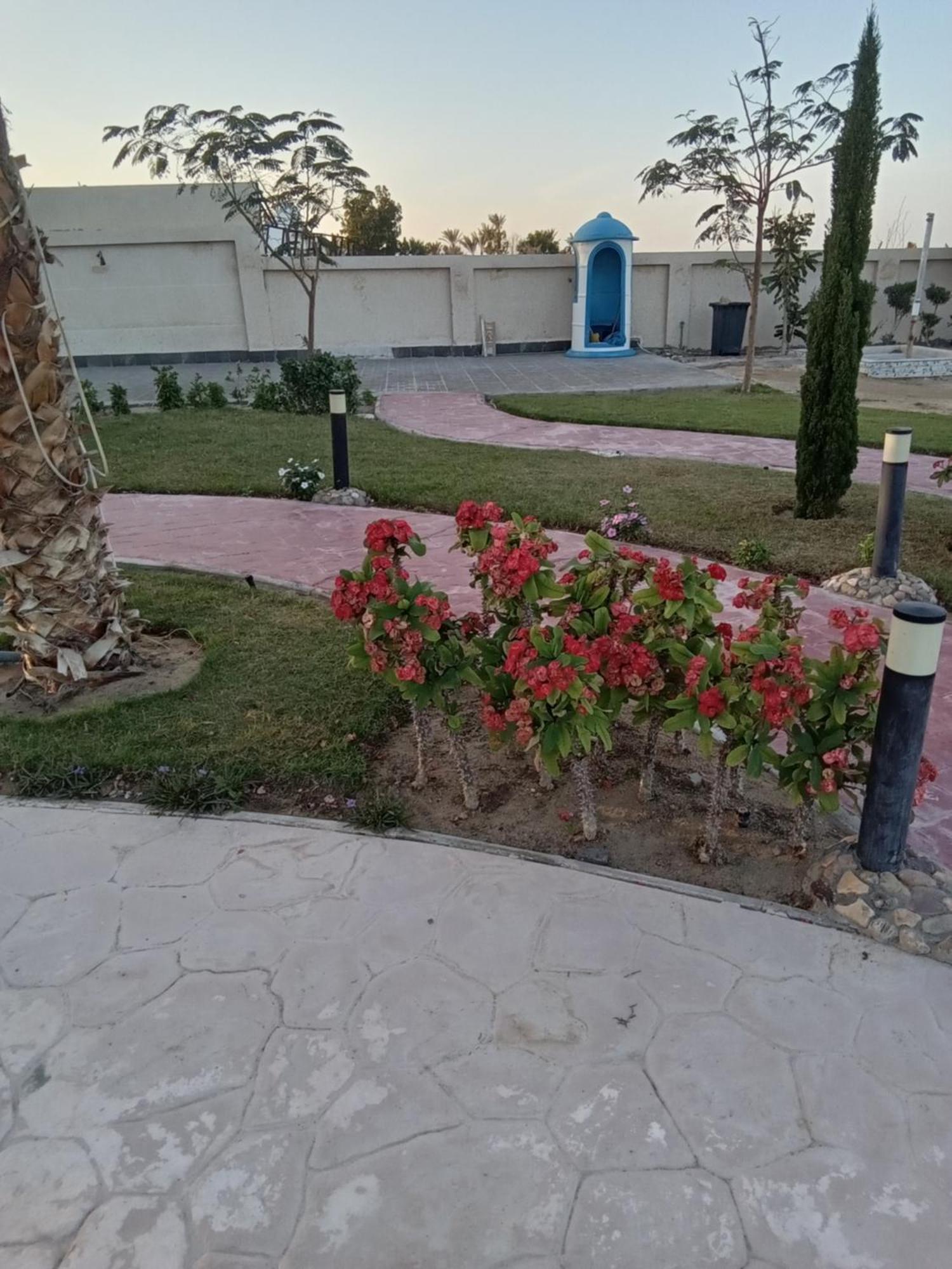 Casablanca Beach For Families And Couples Only Aparthotel Hurghada Ngoại thất bức ảnh